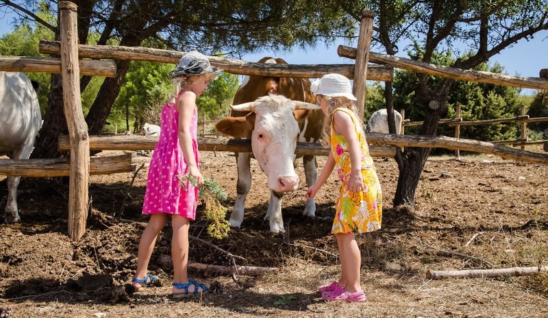 Χώροι δημιουργικής δραστηριότητας